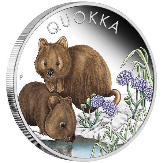 Australian Quokka 2023 1oz Silver Proof Coloured Coin